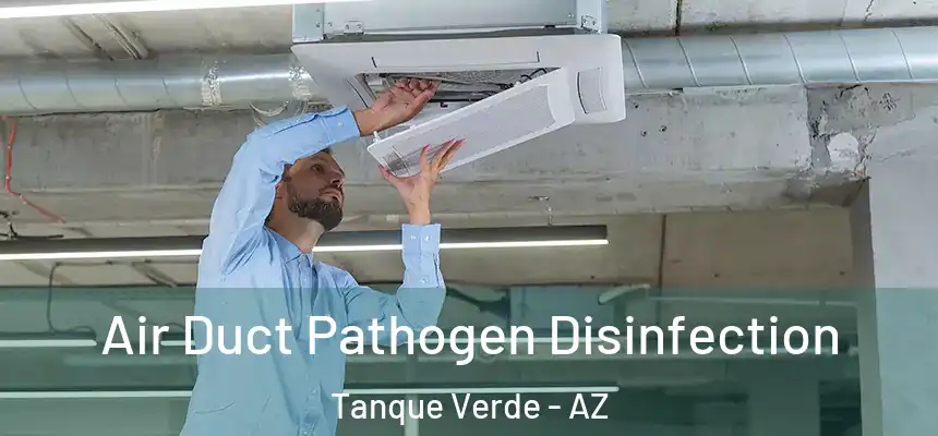  Air Duct Pathogen Disinfection Tanque Verde - AZ