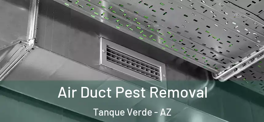  Air Duct Pest Removal Tanque Verde - AZ