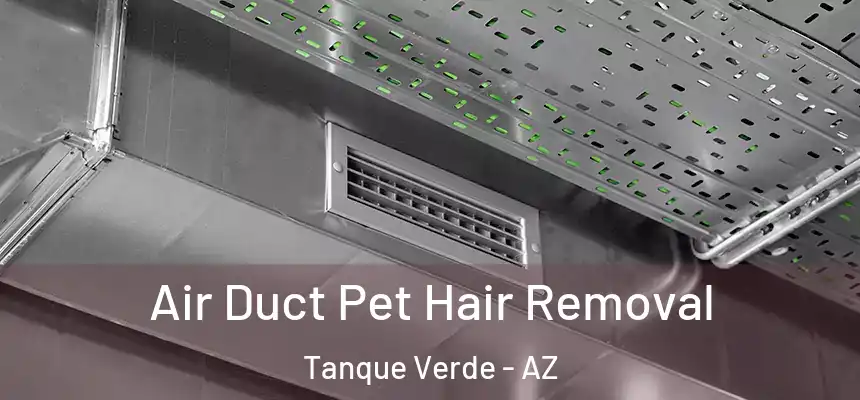  Air Duct Pet Hair Removal Tanque Verde - AZ