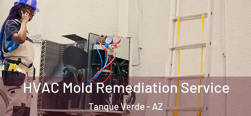  HVAC Mold Remediation Service Tanque Verde - AZ