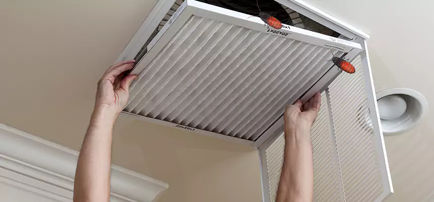 Preventive Cockroach-Proofing for Ducts in Tanque Verde