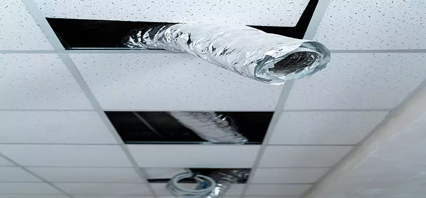 Our Air Duct Pet Hair Removal Services in Tanque Verde, AZ