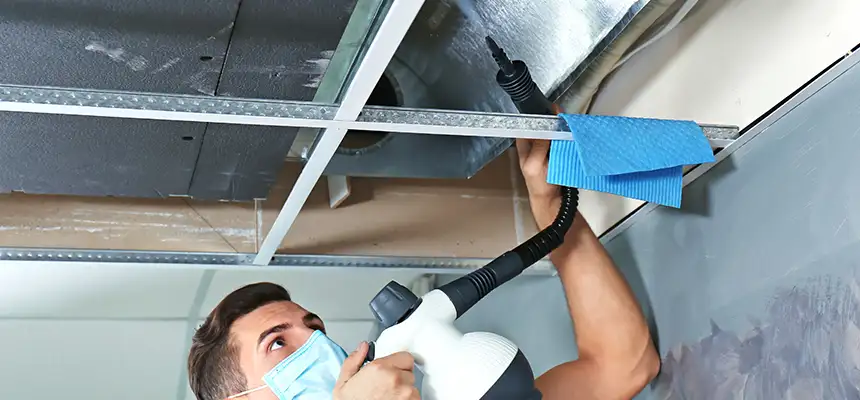Our Air Duct Rodent Removal Services in Tanque Verde, AZ