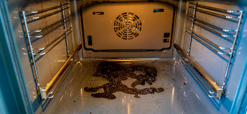 Our Dryer Vent Mold Cleaning Services in Tanque Verde, AZ