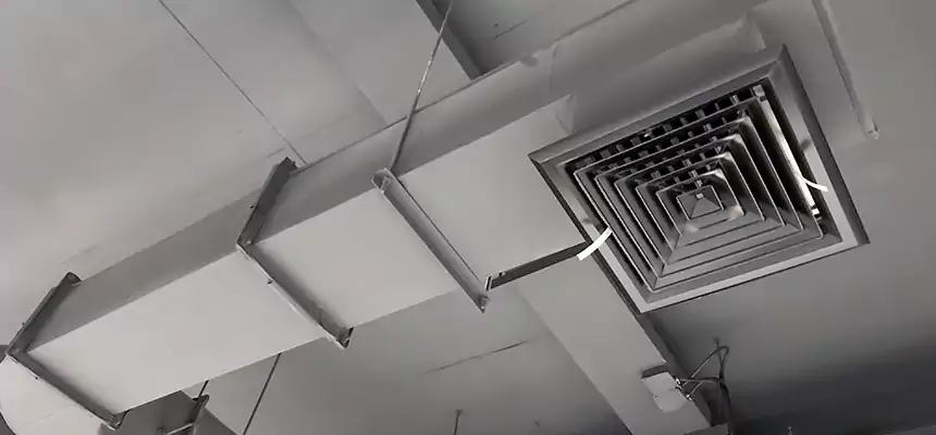 Our Pest Removal From Ducts Services in Tanque Verde, AZ