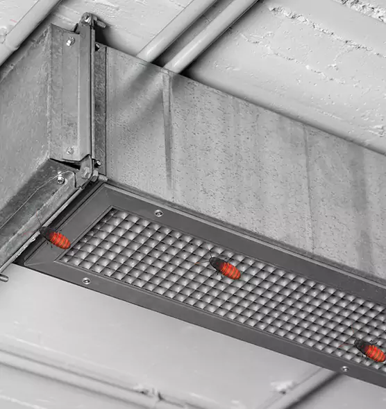 About Air Duct Cockroach Removal in Tanque Verde, AZ