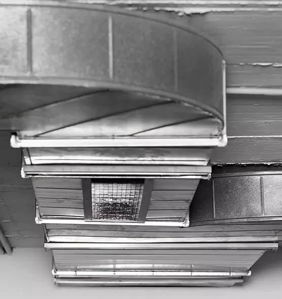 Professional Air Duct Pest Removal in Tanque Verde, AZ