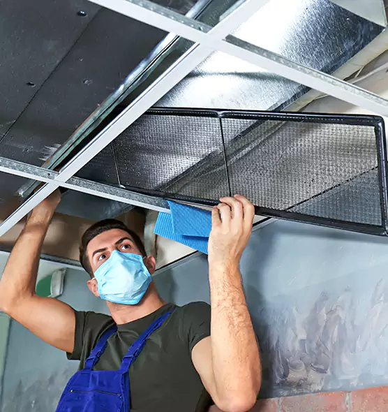 Professional Air Duct Pollen Cleaning in Tanque Verde, AZ