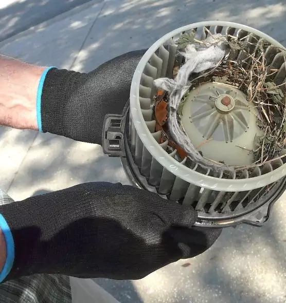 About Air Duct Rat Removal in Tanque Verde, AZ