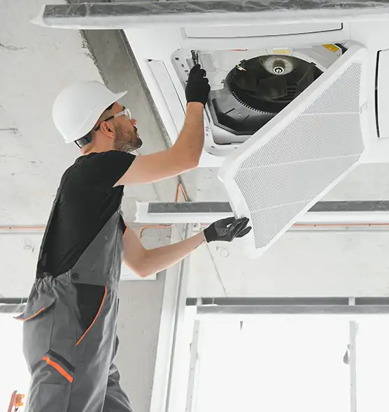 About Air Duct Rodent Removal in Tanque Verde, AZ