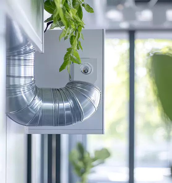 Professional Eco-Friendly Duct Cleaning Services in Tanque Verde, AZ