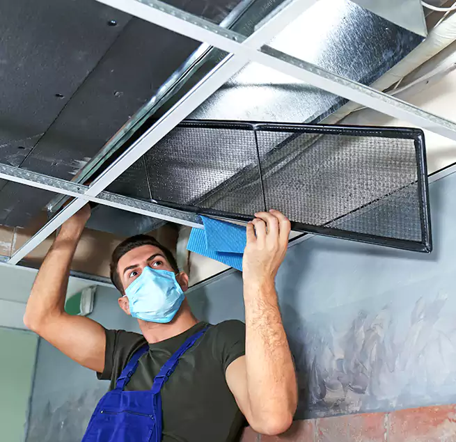 Why Homeowners Businesses Trust Us in Tanque Verde, AZ