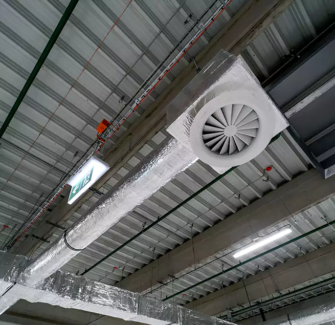 Why Homeowners & Businesses Trust Us in Tanque Verde, AZ