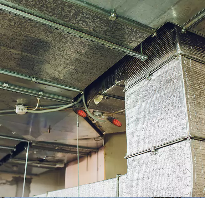 Why Homeowners & Businesses Trust Us Tanque Verde, AZ?