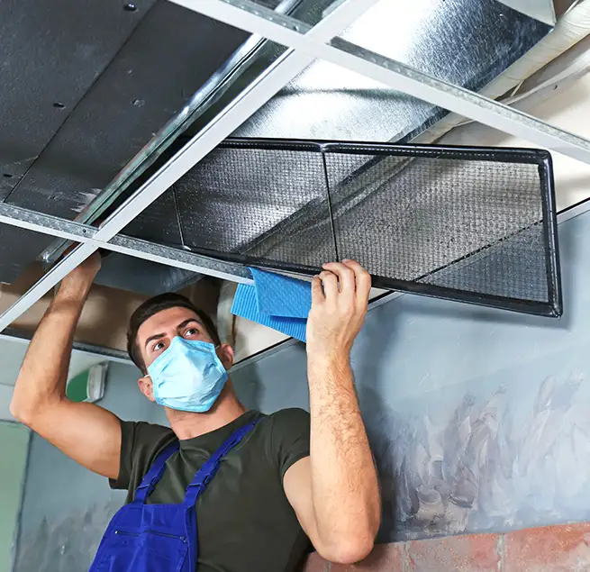 Why Homeowners & Businesses Trust Us in Tanque Verde, AZ?