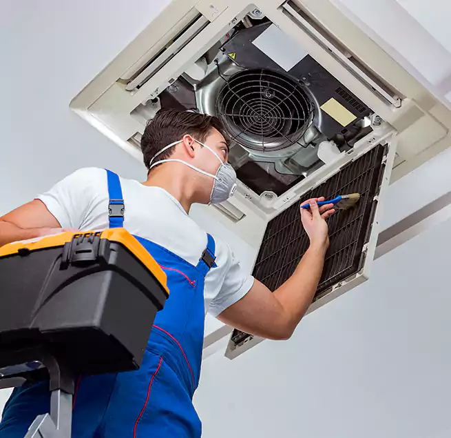 Why Homeowners & Businesses Trust Us in Tanque Verde, AZ?